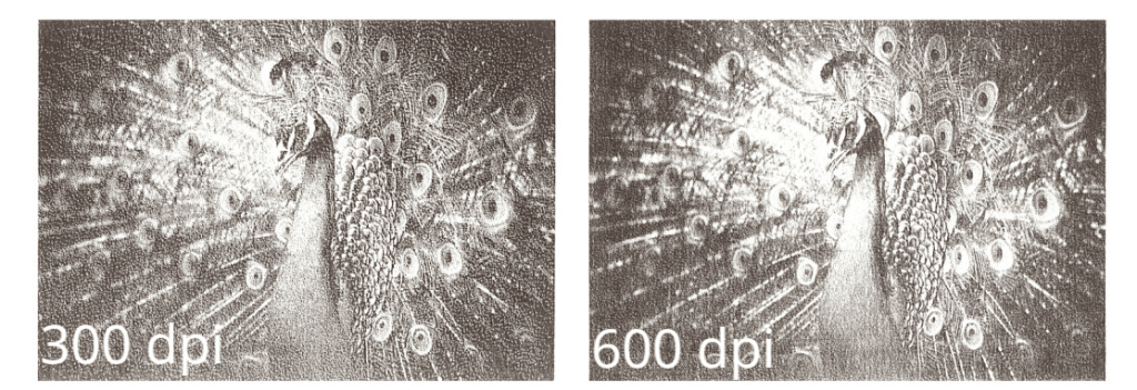 content_img (43).png